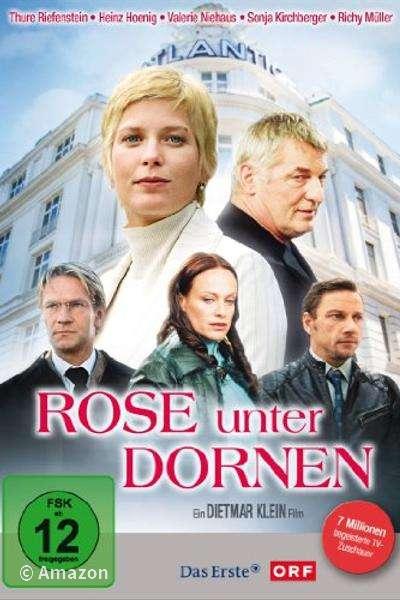 Rose unter Dornen