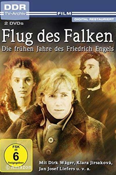 Flug des Falken