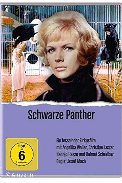 Schwarze Panther